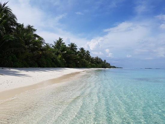 Hotel Unwind Dhigurah à Dhigurah  Extérieur photo