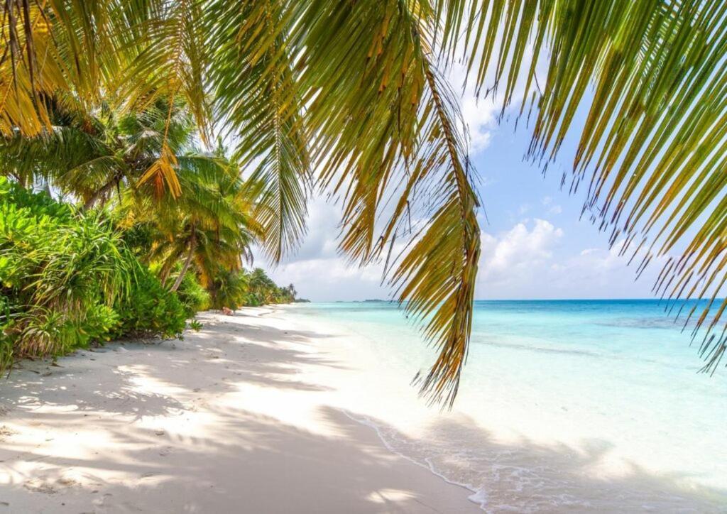 Hotel Unwind Dhigurah à Dhigurah  Extérieur photo