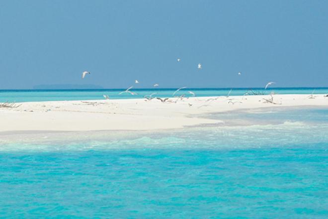 Hotel Unwind Dhigurah à Dhigurah  Extérieur photo